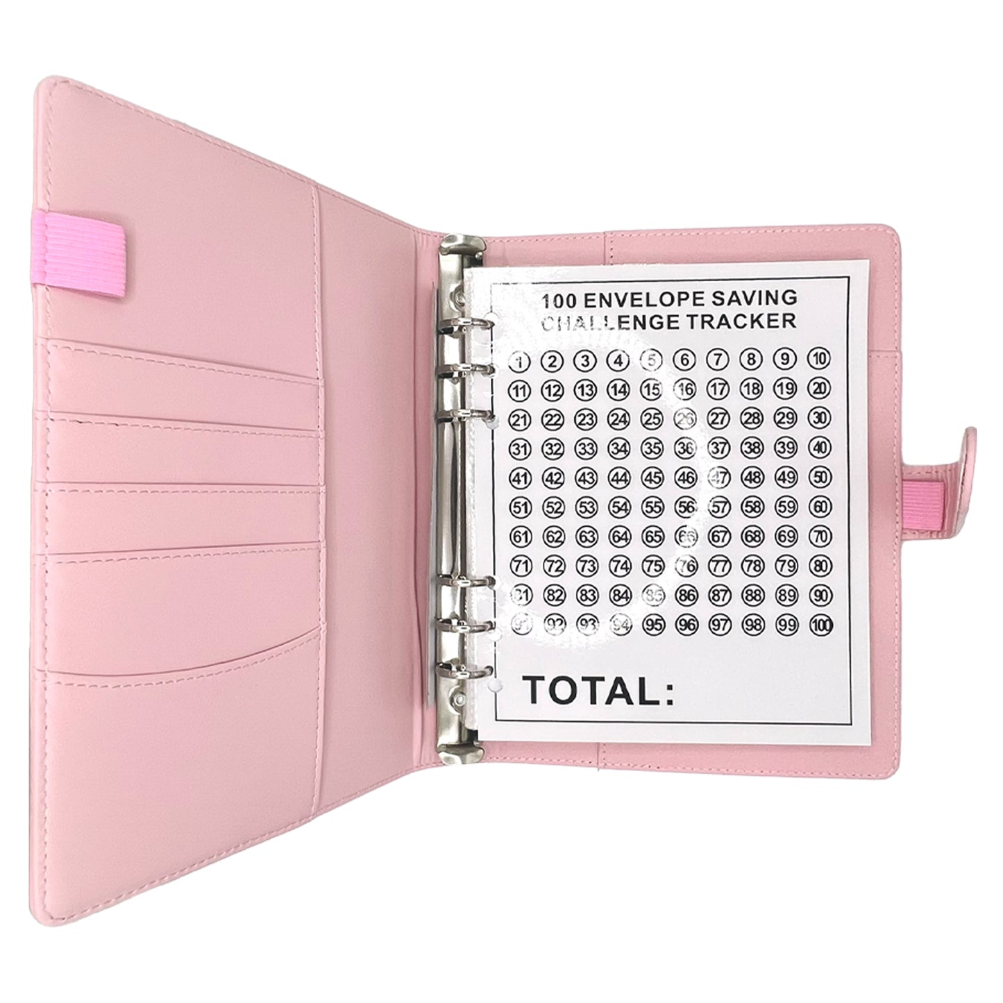 Alpha Kappa Alpha® Savings Challenge | 100 Envelope
