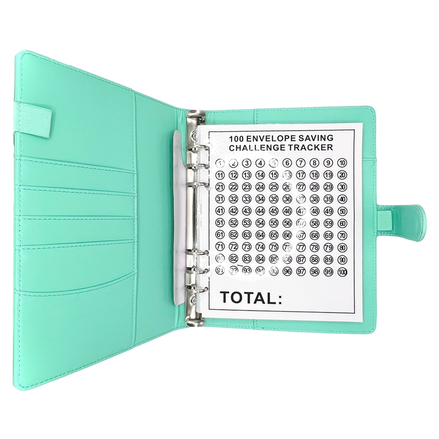 Alpha Kappa Alpha® Savings Challenge | 100 Envelope
