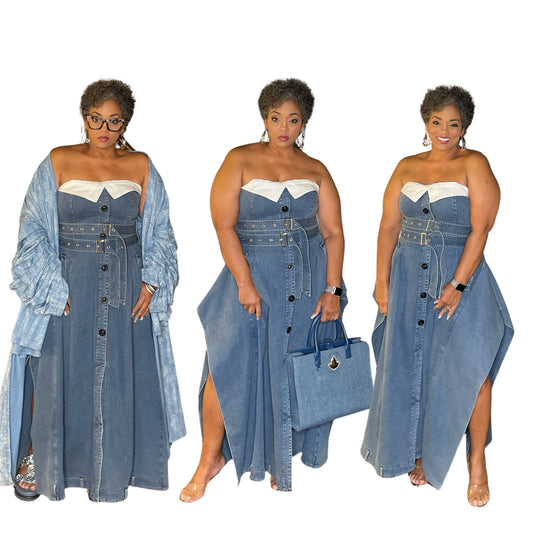 Denim Stretch Strapless Dress